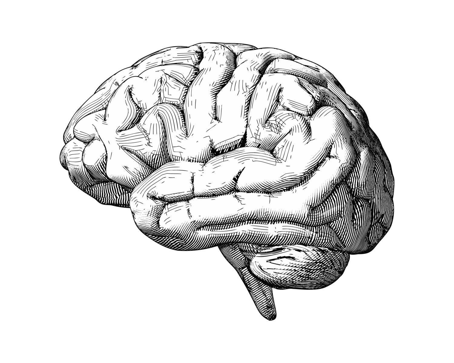 IN Focus First: ADHD Testing And Mental Health Care Indiana