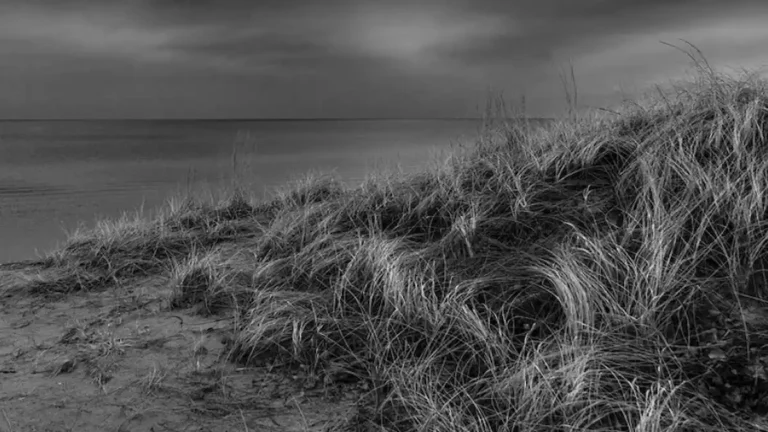 A melancholic black and white landscape of a rural Indiana, representing the muted emotions and "grayscale" feeling of high-functioning depression.