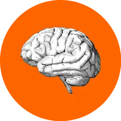 FAQ - In Focus First Psychiatry in focus first mental health psychiatrist brain logo - FAQ